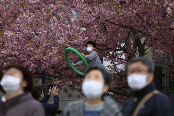 Люди в масках на фестивале цветения вишни в Японии  - Sputnik Узбекистан