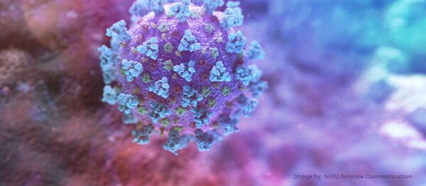 Компьютерное изображение, созданное компанией Nexus Science Communication совместно с Тринити колледжем в Дублине, показывает модель, структурно представляющую бетакоронавирус, который является типом вируса, связанного с COVID-19 Компьютерное изображение, созданное компанией Nexus Science Communication совместно с Тринити колледжем в Дублине, показывает модель, структурно представляющую бетакоронавирус, который является типом вируса, связанного с COVID-19 - Sputnik Ўзбекистон