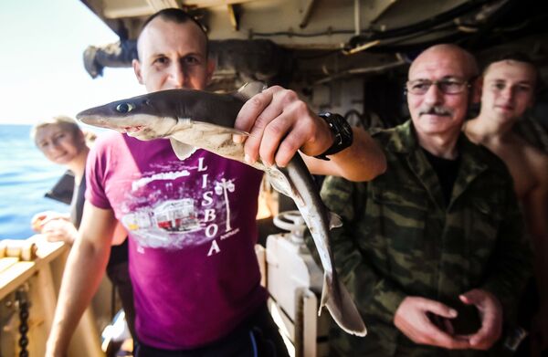 Члены команды рассматривают пойманную акулу, на борту судна Адмирал Владимирский на подходе к Монтевидео - Sputnik Узбекистан
