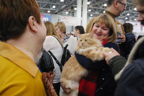 Выставка кошек Кэтсбург 2020 в Москве 7 марта - Sputnik Узбекистан