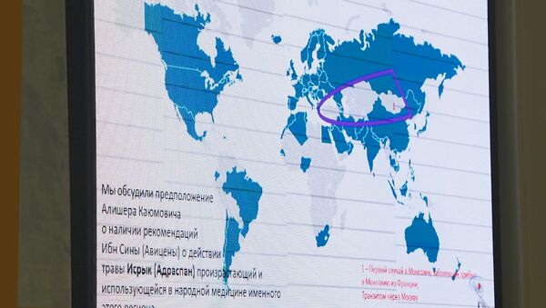 Монгольский треугольник, где нет коронавируса - Sputnik Узбекистан
