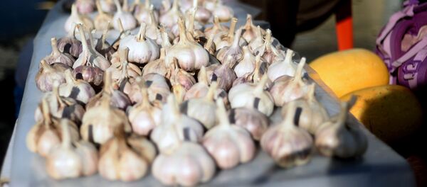 Прилавок с чесноком на сельскохозяйственной ярмарке Прилавок с чесноком на сельскохозяйственной ярмарке - Sputnik Ўзбекистон