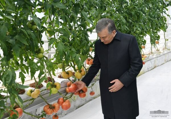 Президент поручил экспортировать только готовую текстильную продукцию - Sputnik Узбекистан