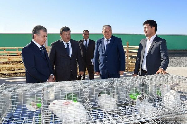 Президент поручил экспортировать только готовую текстильную продукцию - Sputnik Узбекистан