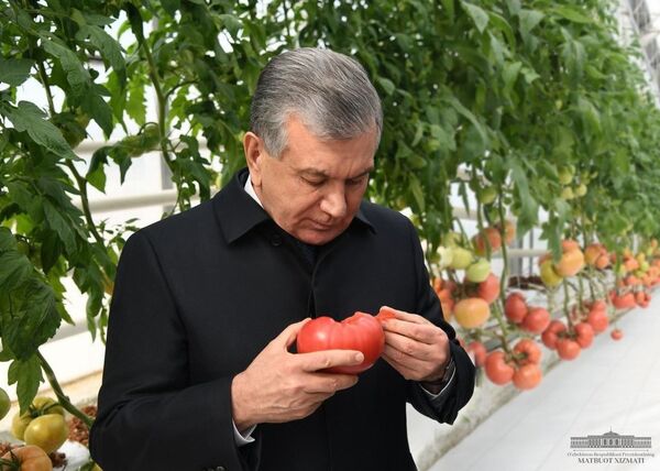 Президент поручил экспортировать только готовую текстильную продукцию - Sputnik Узбекистан