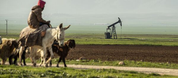 Пастух на осле едет мимо нефтяного месторождения в Сирии на границе с Турцией Пастух на осле едет мимо нефтяного месторождения в Сирии на границе с Турцией - Sputnik Ўзбекистон
