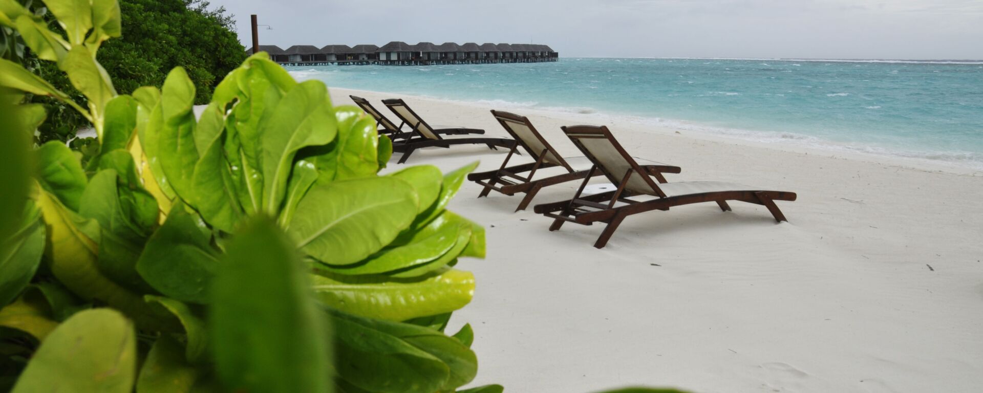 Шезлонги на пляже острова Велассару (Мальдивы). - Sputnik Ўзбекистон, 1920, 02.11.2025
