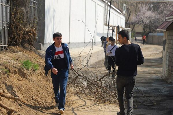 Сотрудники министерства энергетики Узбекистана убирают территорию - Sputnik Узбекистан
