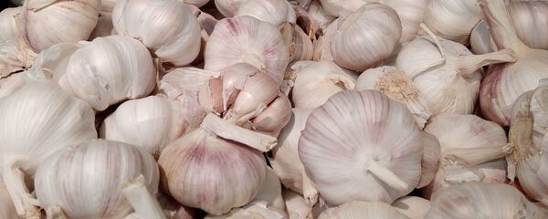 Чеснок Чеснок - Sputnik Ўзбекистон
