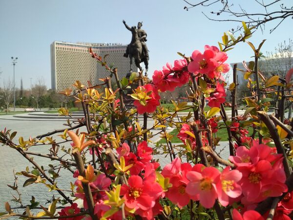 Весна в Ташкенте - Sputnik Ўзбекистон