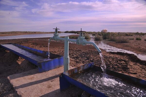 Спасем Арал вместе – море зелени и оазисы из роз - Sputnik Узбекистан