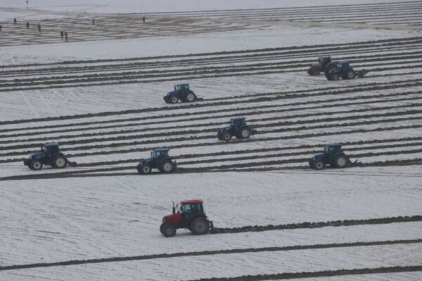 Спасем Арал вместе – море зелени и оазисы из роз - Sputnik Узбекистан