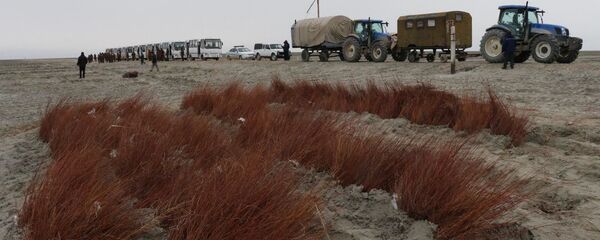 Работы по озеленению высохшего дна Аральского моря  - Sputnik Узбекистан