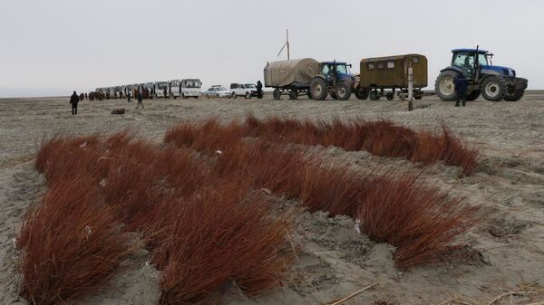 Работы по озеленению высохшего дна Аральского моря  - Sputnik Узбекистан