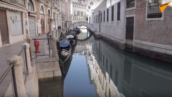 Venezia, l'effetto della quarantena: l'acqua dei canali non è mai stata così limpida - Sputnik Узбекистан