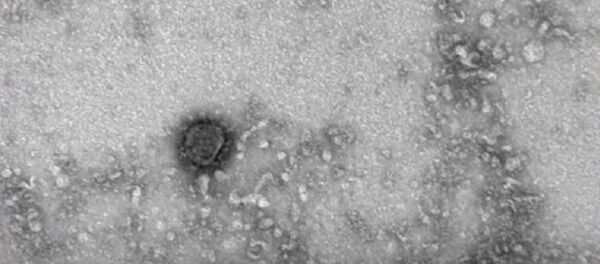 Российские ученые показали, как выглядит коронавирус — видео - Sputnik Узбекистан