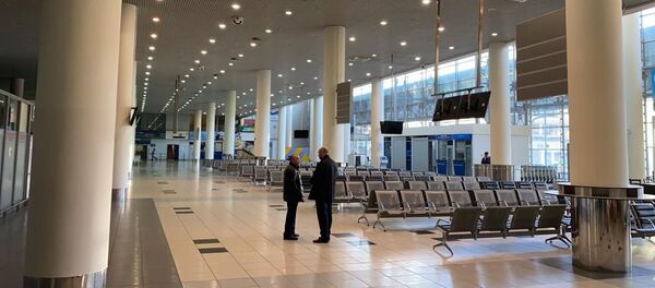 Граждане республики Узбекистан в аэропорту Внуково Граждане республики Узбекистан в аэропорту Внуково - Sputnik Ўзбекистон