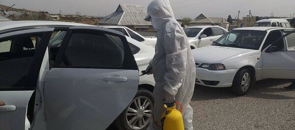 Санитарная обработка машин в Узбекистане - Sputnik Ўзбекистон