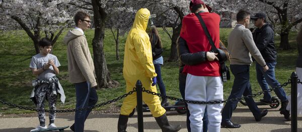 Человек в защитном желтом костюме во время цветения вишни в Вашингтоне  - Sputnik Узбекистан