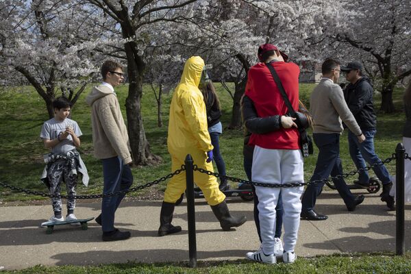 Человек в защитном желтом костюме во время цветения вишни в Вашингтоне  - Sputnik Узбекистан
