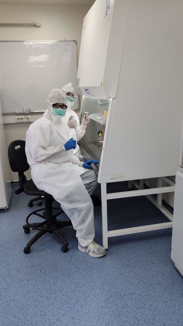 Узбекистан разработал собственные тест-системы для диагностики COVID-19 - Sputnik Узбекистан