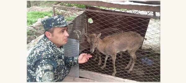 В Сурхандарье двое местных жителей незаконно содержали редких животных - Sputnik Узбекистан