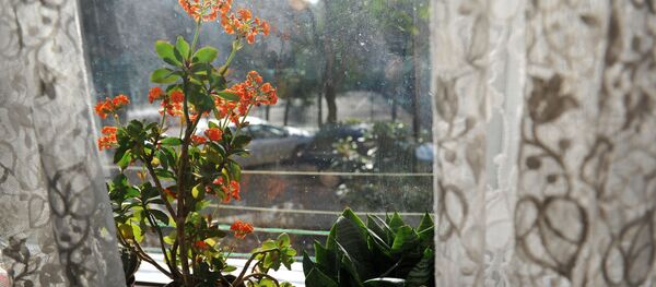 Вид во двор из окна квартиры Вид во двор из окна квартиры - Sputnik Узбекистан