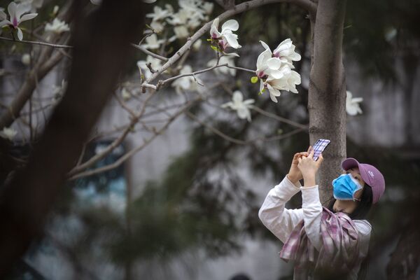 Девушка в защитной маске фотографирует магнолию в зоопарке Пекина - Sputnik Узбекистан