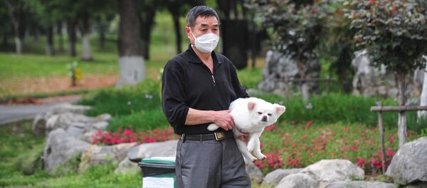 Житель Уханя в медицинской маске и с собакой в одном из парков города Житель Уханя в медицинской маске и с собакой в одном из парков города - Sputnik Ўзбекистон