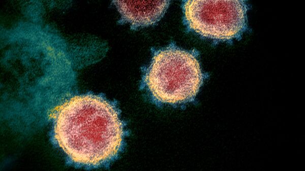 Новый коронавирус атипичной пневмонии SARS-CoV-2. Также известный как 2019-nCoV - Sputnik Ўзбекистон