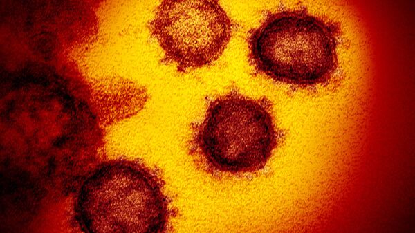 Izobrajenie novogo koronavirusa atipichnoy pnevmonii SARS-CoV-2. Takje izvestniy kak 2019-nCoV - Sputnik O‘zbekiston