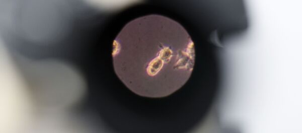 В Казани запустили проект по разработке вакцины от коронавируса В Казани запустили проект по разработке вакцины от коронавируса - Sputnik Ўзбекистон