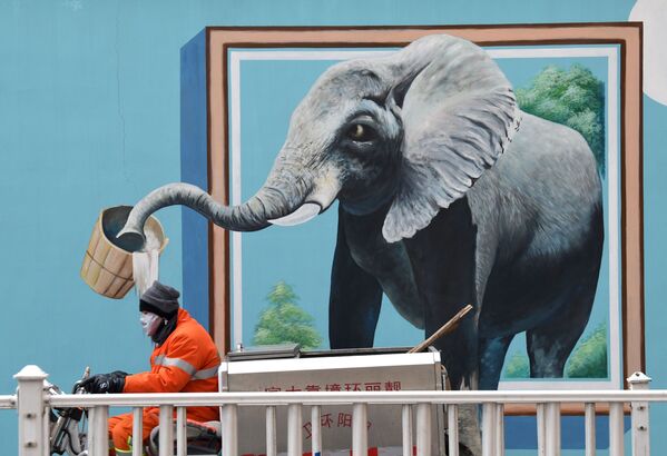 Рабочий в медицинской маске на фоне граффити с изображением слона в Пекине, Китай - Sputnik Узбекистан