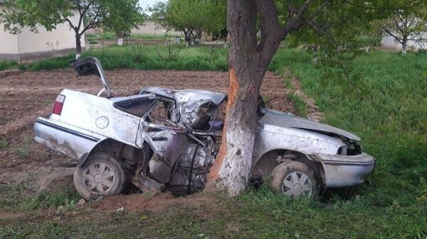 Смертельное ДТП в Кашкадарье: автомобиль на скорости въехал в дерево - Sputnik Узбекистан