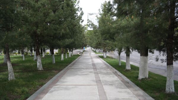 Пустые улицы Ташкента  - Sputnik Узбекистан