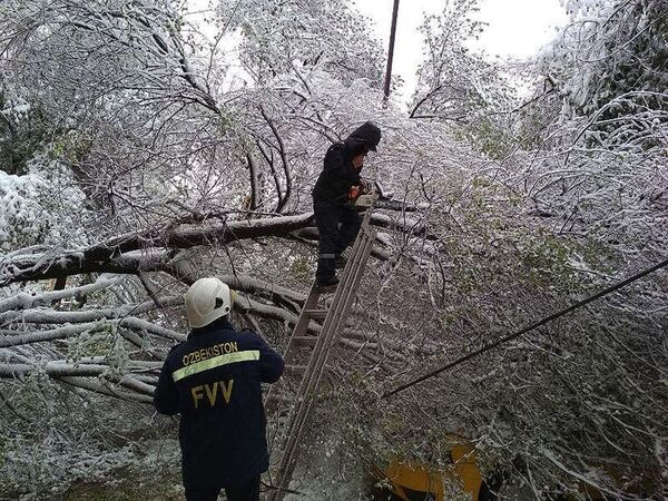 Ликвидация последствий снегопада в Ташкенте - Sputnik Узбекистан