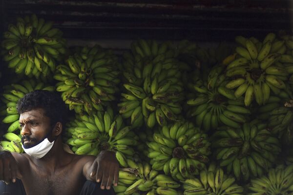 Рабочий во время отдыха на рынке в Коломбо, Шри-Ланка - Sputnik Узбекистан