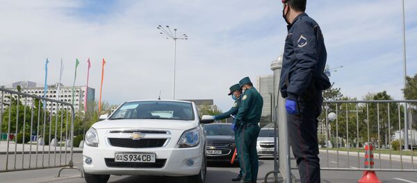 Сотрудники МО, МВД и Национальной гвардии - Sputnik Узбекистан