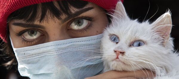 Иракская женщина с кошкой Иракская женщина с кошкой - Sputnik Ўзбекистон