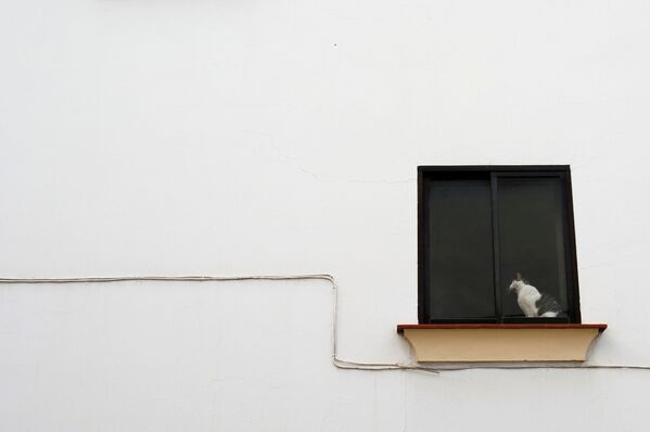 Кошка сидит на окне дома в Испании - Sputnik Узбекистан