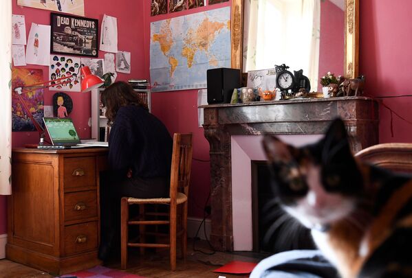 Французская школьница и ее кошка - Sputnik Узбекистан