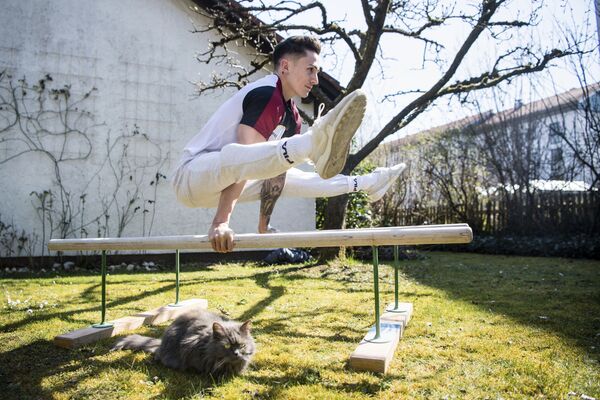Кот сидит под гимнастическим снарядом во время тренировки - Sputnik Узбекистан