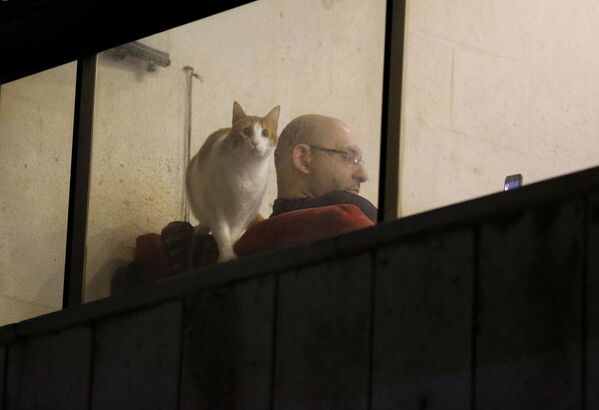 Мужчина с котом в окне квартиры в Бейруте, Ливан - Sputnik Узбекистан