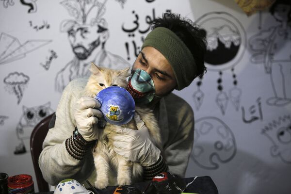 Художник с кошкой в маске в Газе  - Sputnik Узбекистан