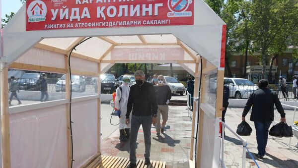 Во всех рынках при входе установлены дезинфекционные туннели для посетителей - Sputnik Узбекистан