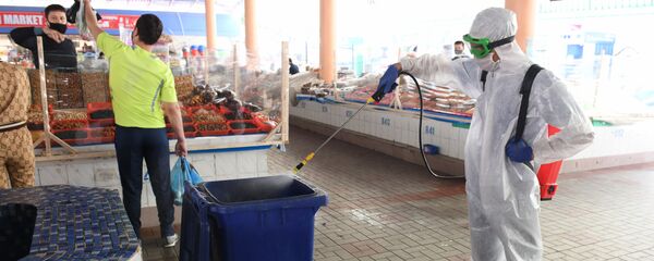 Дезинфекция мусорых баков и урн Дезинфекция мусорых баков и урн - Sputnik Ўзбекистон