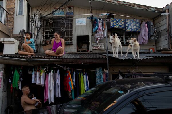 Девочки с собаками на крыше дома во время самоизоляции на Филиппинах - Sputnik Узбекистан