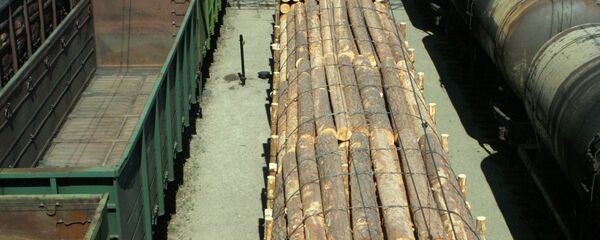 Темир йўлда юк поездлари Темир йўлда юк поездлари - Sputnik Ўзбекистон