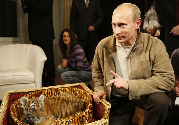 Владимир Путин  с подаренным ему в 2008 году тигренком. - Sputnik Узбекистан