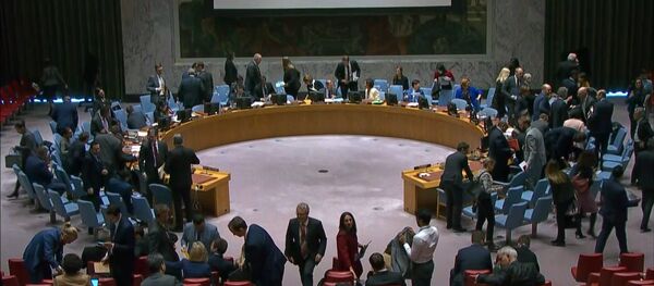 Россия осудила решение Запада заблокировать в ООН резолюцию по борьбе с COVID-19 - Sputnik Узбекистан